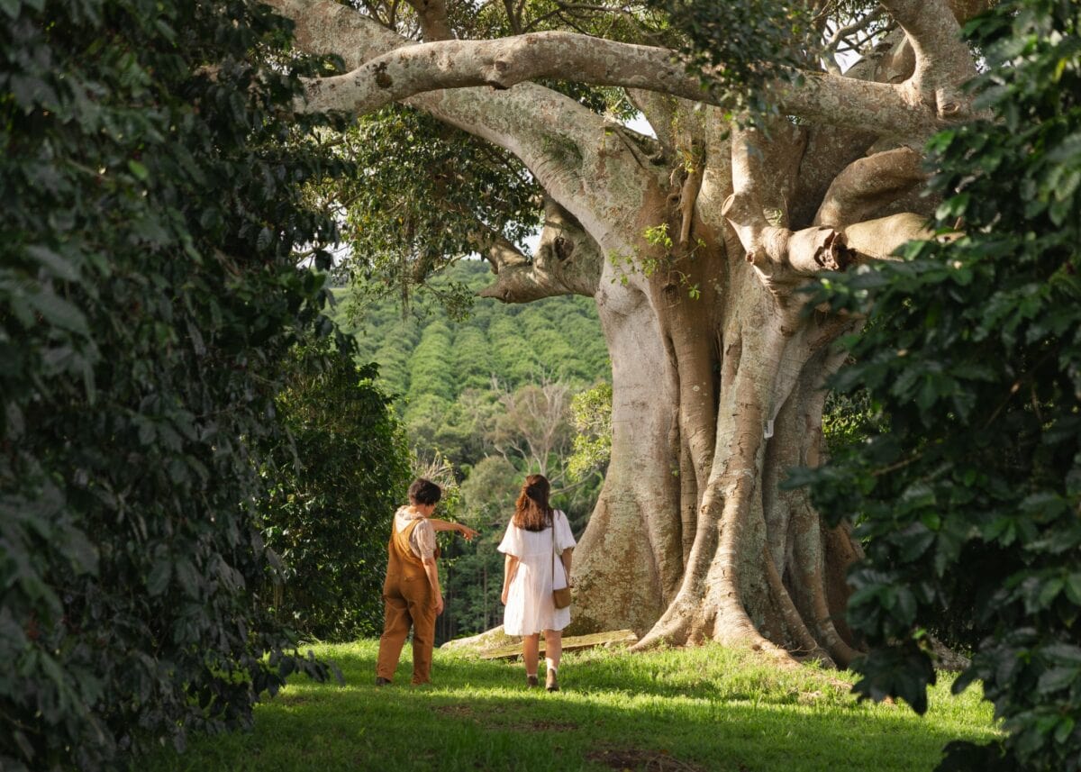 DiscoverBallina2024(HR) 57