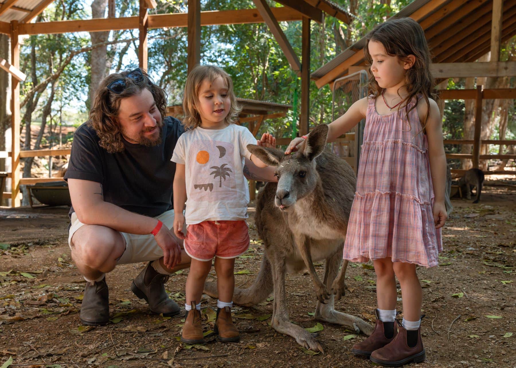 Two young children patting a kangaroo while a man kneels beside them at Byron Bay Wildlife Sanctuary, surrounded by natural bushland and timber enclosures.