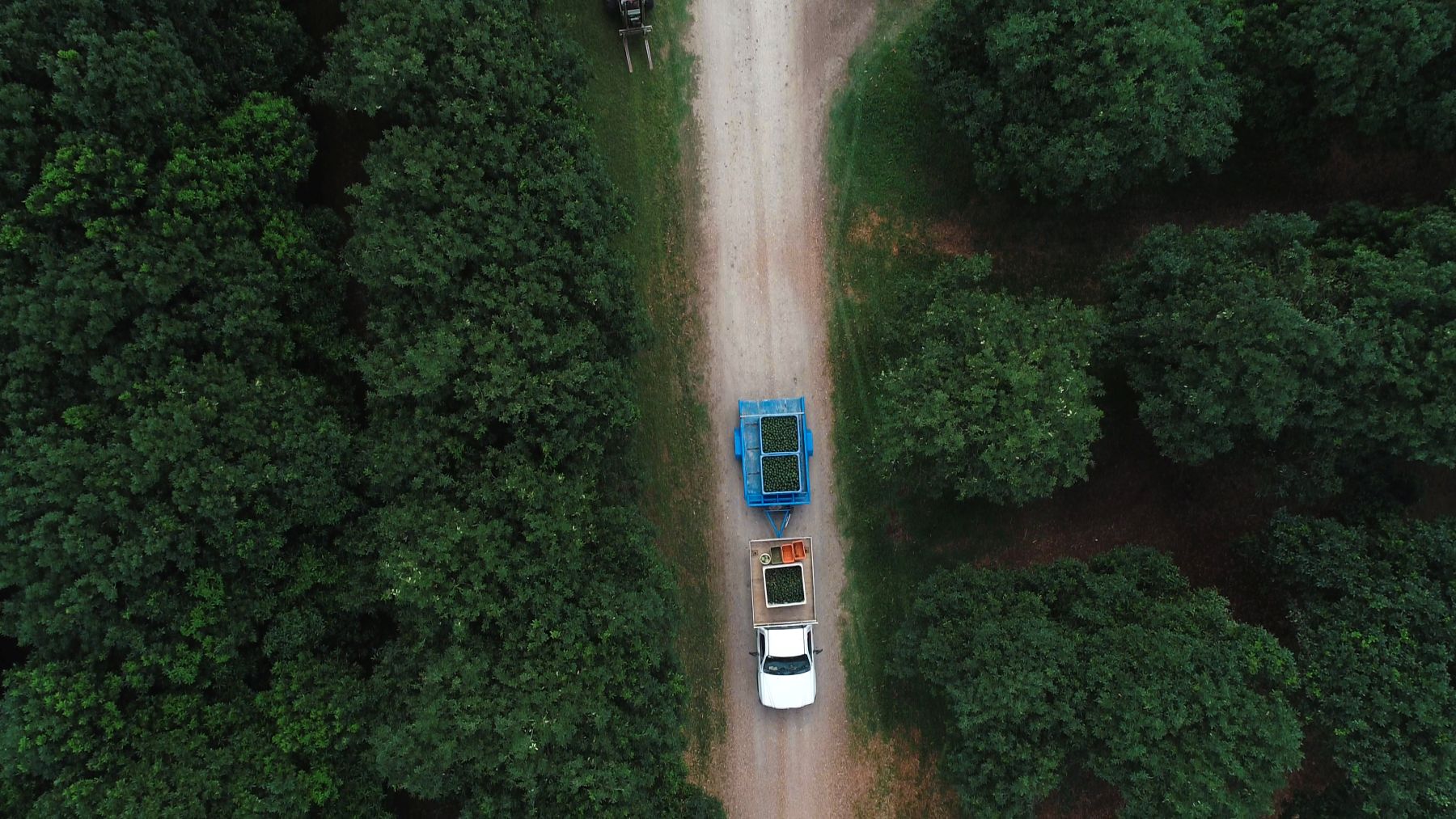 Summerland Farm – Agri Tourism Farm Tours 