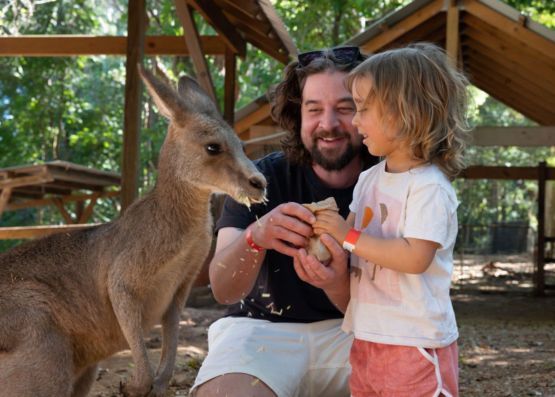 Byron Bay Wildlife Sanctuary – Wild Encounters & Local Flavours