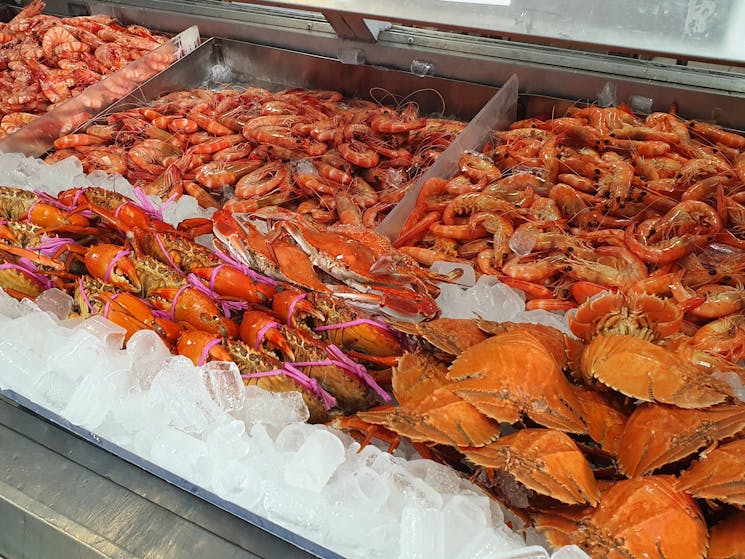 Fresh prawns, lobsters, and crabs on ice at Ballina Fishermen’s Co-Op seafood display