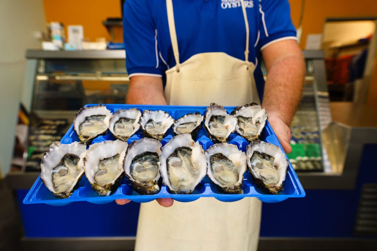 Freshly shucked Richmond Oysters on display at Ballina seafood shop