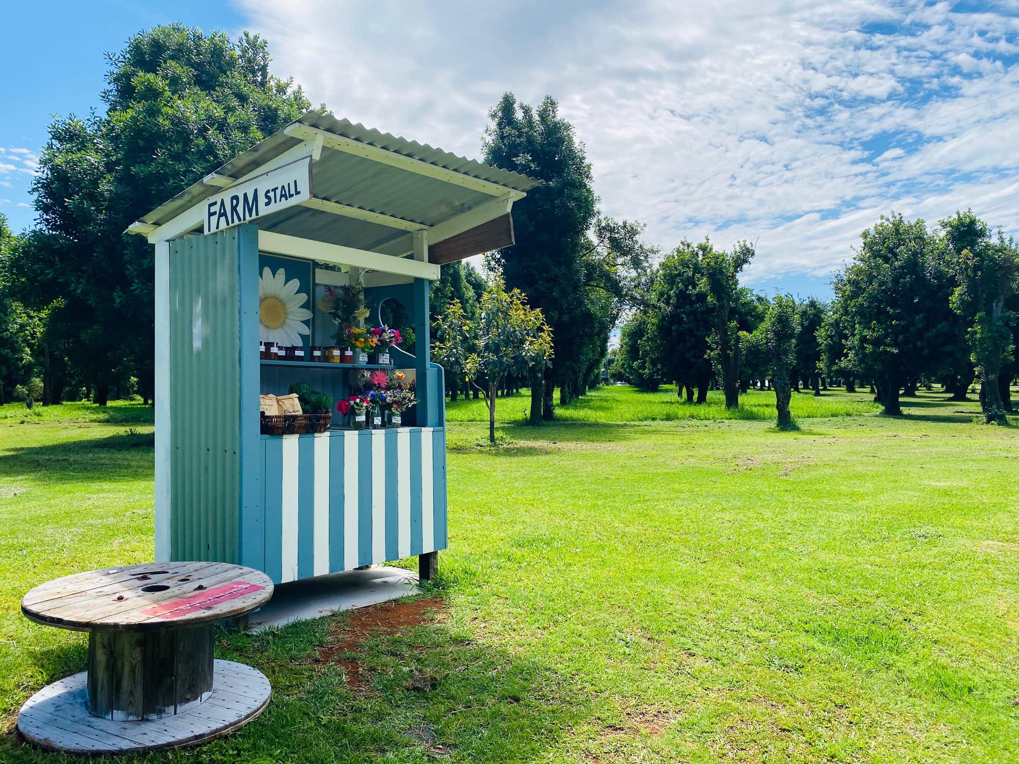 Rustic farm gate stall with fresh produce and flowers in a macadamia orchard near Alstonville, Northern Rivers NSW.