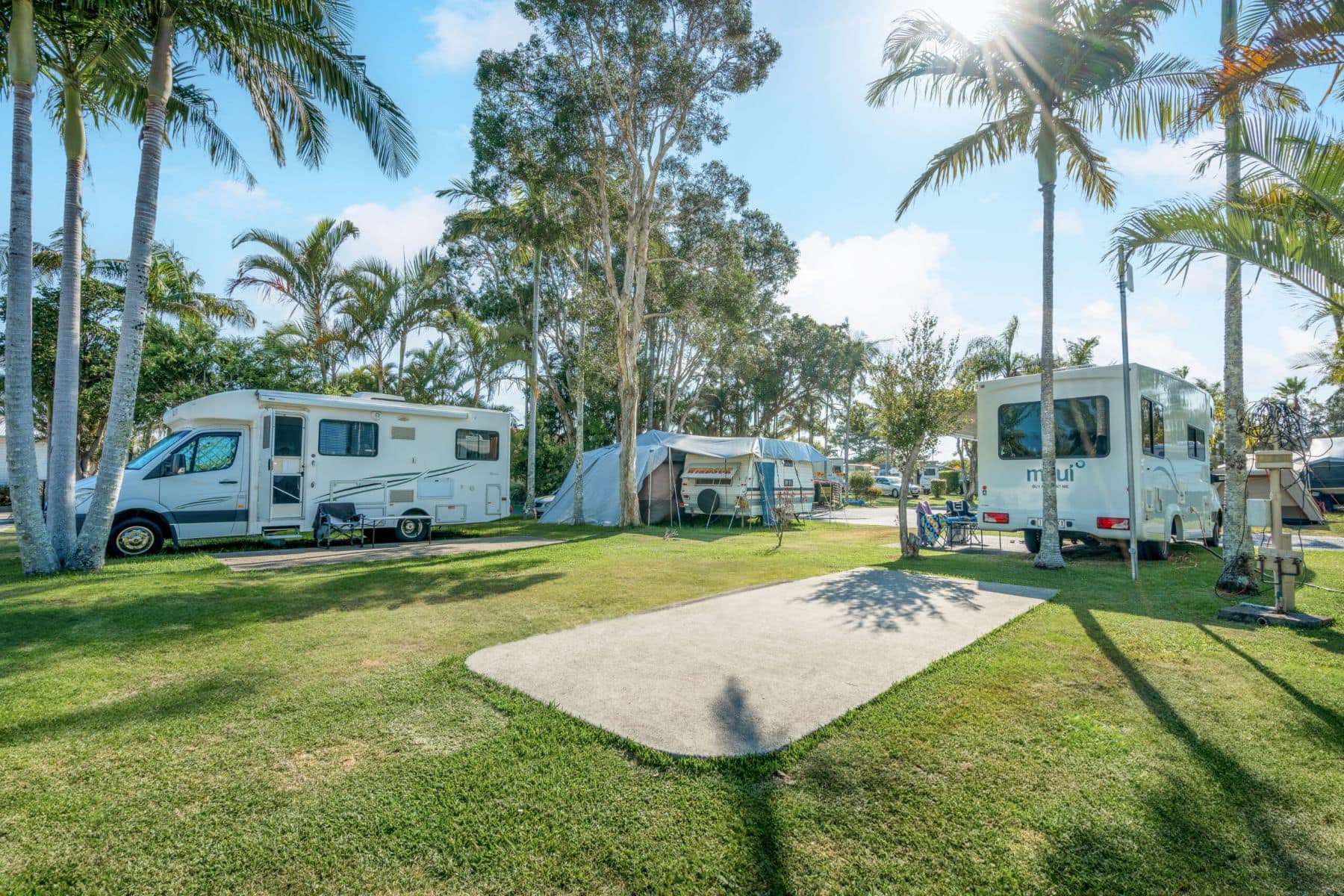 Sunny powered caravan sites at Tasman Holiday Park Ballina, with palm trees, motorhomes, and campers enjoying the tropical park setting.