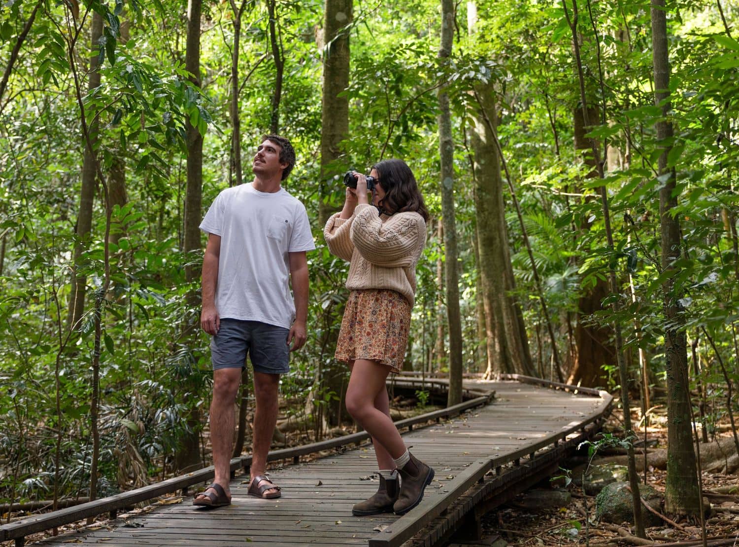Victoria Park Nature Reserve – Rainforest Boardwalk