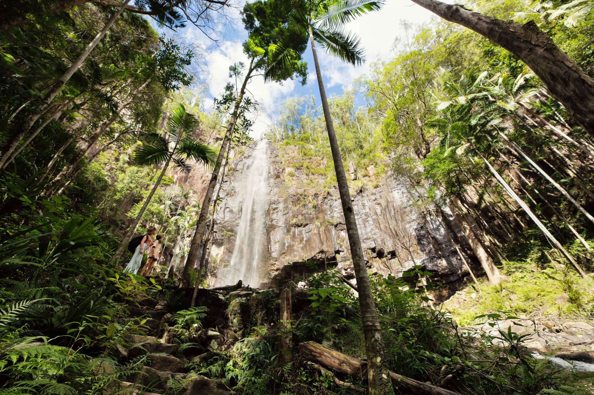 Protesters Falls – Rainforest Serenity