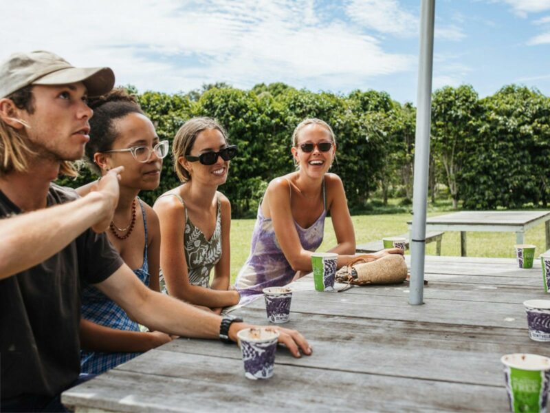 Explore a Coffee Plantation