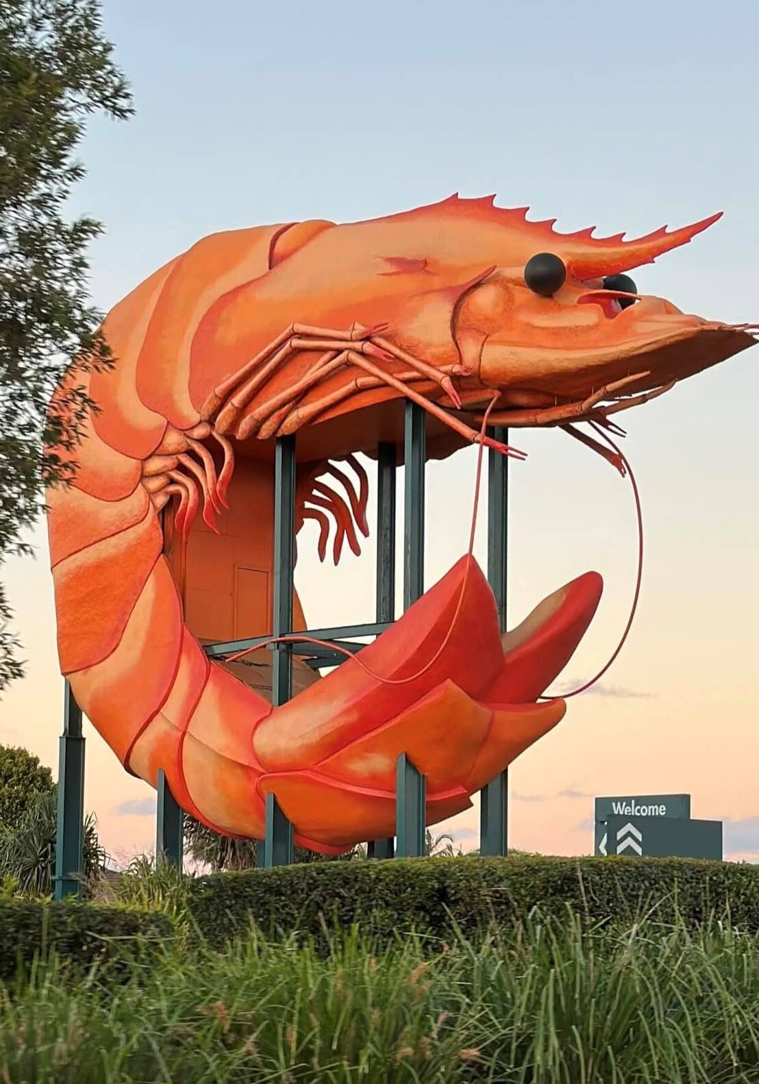 The Big Prawn Ballina landmark at sunset, surrounded by greenery.