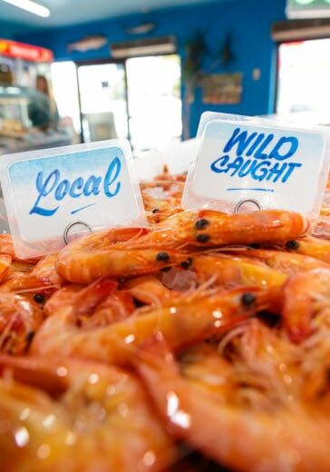 Fresh wild-caught local prawns on ice at a Northern Rivers seafood in Ballina
