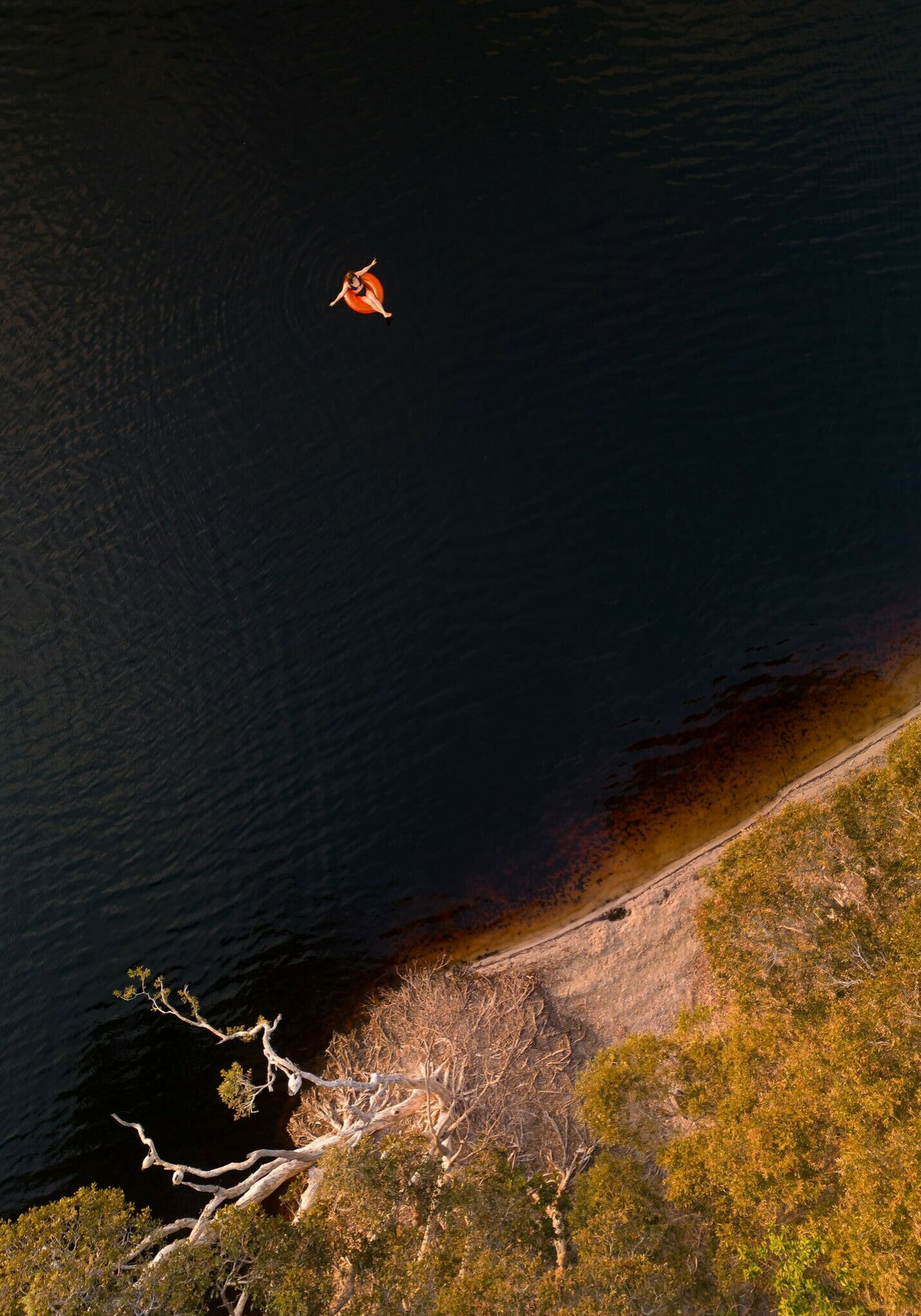 Aerial view of a person floating in tea-tree-stained waters at Lake Ainsworth, surrounded by native trees in Lennox Head, Northern NSW